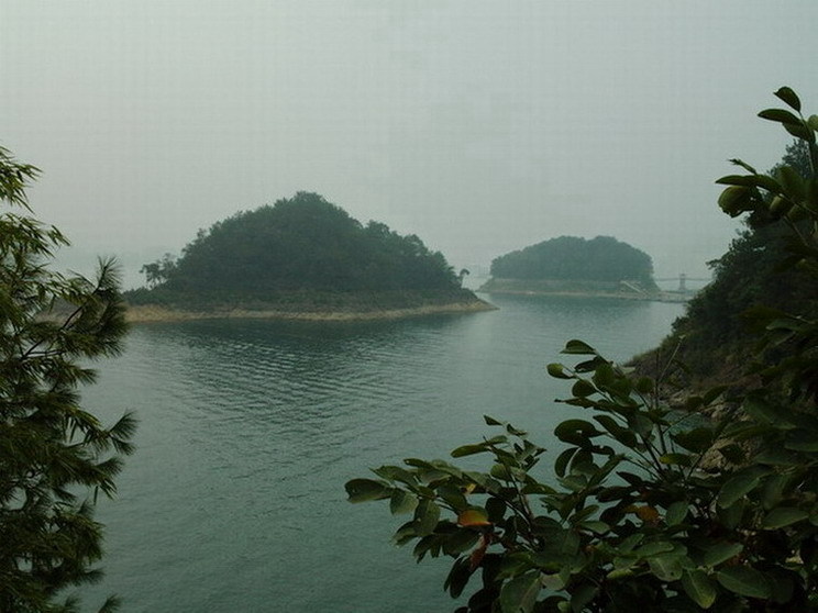 新手机试机照片。(请各位指教)-拉风北约-杭州