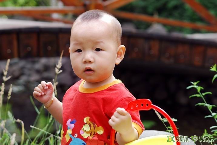 求助:有没有宝宝得过睑腺炎