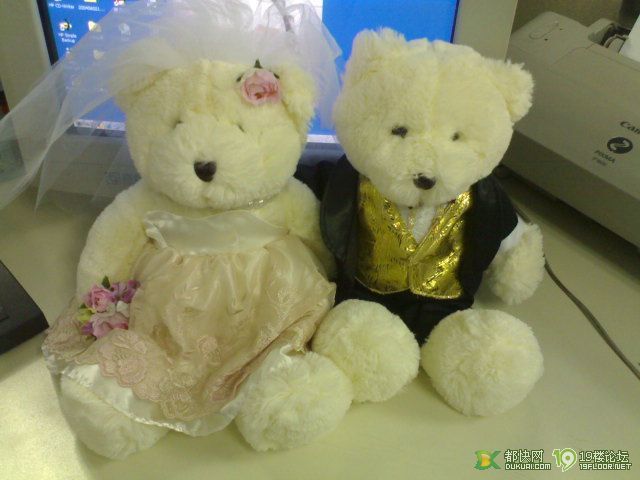 准备婚礼上布置展台的婚纱泰迪熊今天一早终于