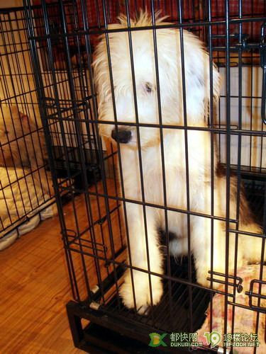 杭州跳楼价格转让宽发情古代成母3000了,近来