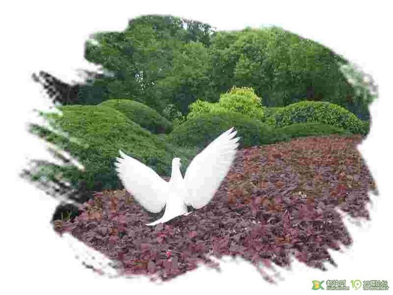 亲子:手拉手亲子群: 小朋友相聚 爬山喝茶-孩爸