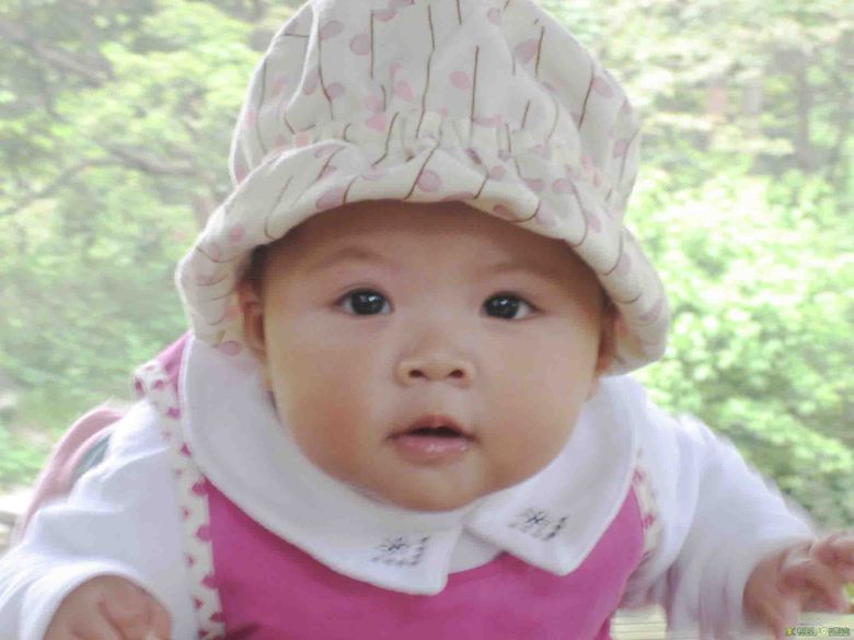 九月妈咪群:4.14植物园活动照片-孩爸孩妈聊天