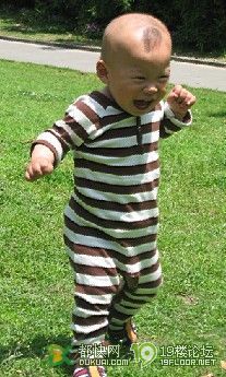 昨天股票大跌的原因 (搞笑版)ZT-孩爸孩妈聊天