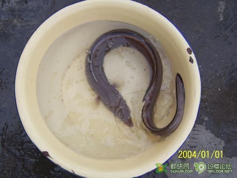 舟山朱家尖普陀山旅游好住处-旅游信息集散中