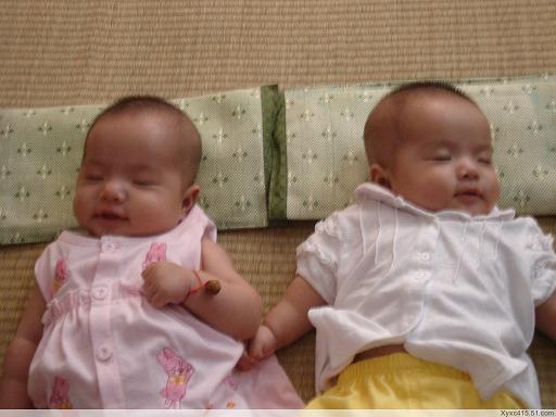 我家的<em>一对双胞胎姐妹</em>花-19摄区-<em>杭州</em>19楼