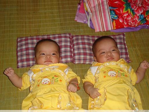 我家的<em>一对双胞胎姐妹</em>花-19摄区-<em>杭州</em>19楼