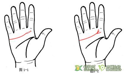 女子手相看命，自测爱情线(附图)-情感沙龙-杭州19楼