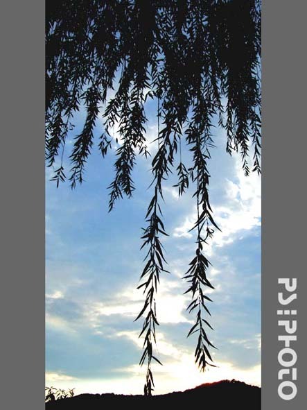 云的美--西湖速写-19摄区-杭州19楼