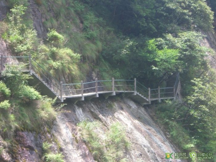 有人去过丽水龙泉山-凤阳山国家自然保护区吗