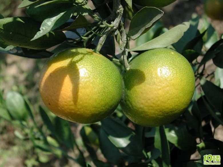 [求助]组织部门活动一日游去杭州周边哪里好-休