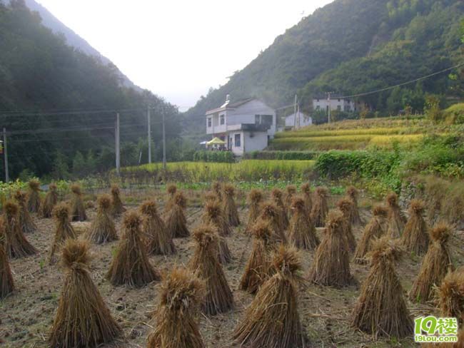 杭州附近农家乐哪里好玩,风景又美