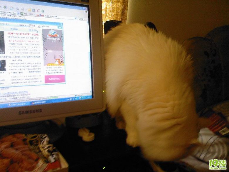 MM自摸图!未成年禁入!<em>555</em>不是黄色贴啦 为什