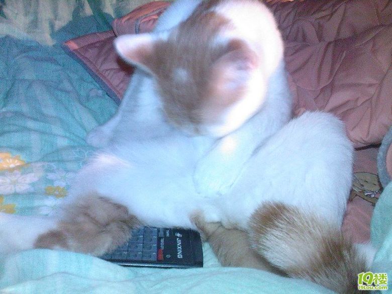 MM自摸图!未成年禁入!<em>555</em>不是黄色贴啦 为什