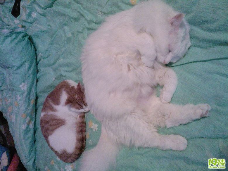 MM自摸图!未成年禁入!<em>555</em>不是黄色贴啦 为什