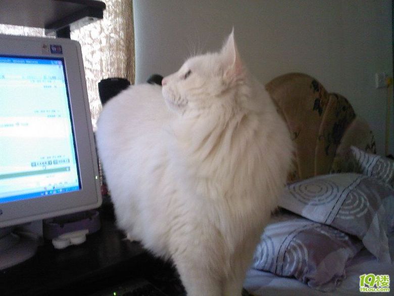 MM自摸图!未成年禁入!<em>555</em>不是黄色贴啦 为什