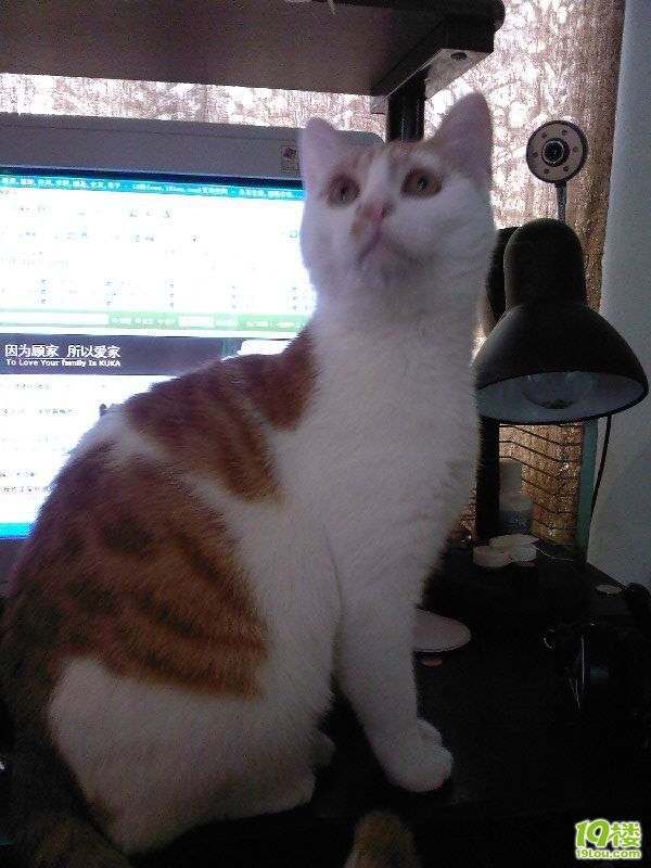 MM自摸图!未成年禁入!<em>555</em>不是黄色贴啦 为什