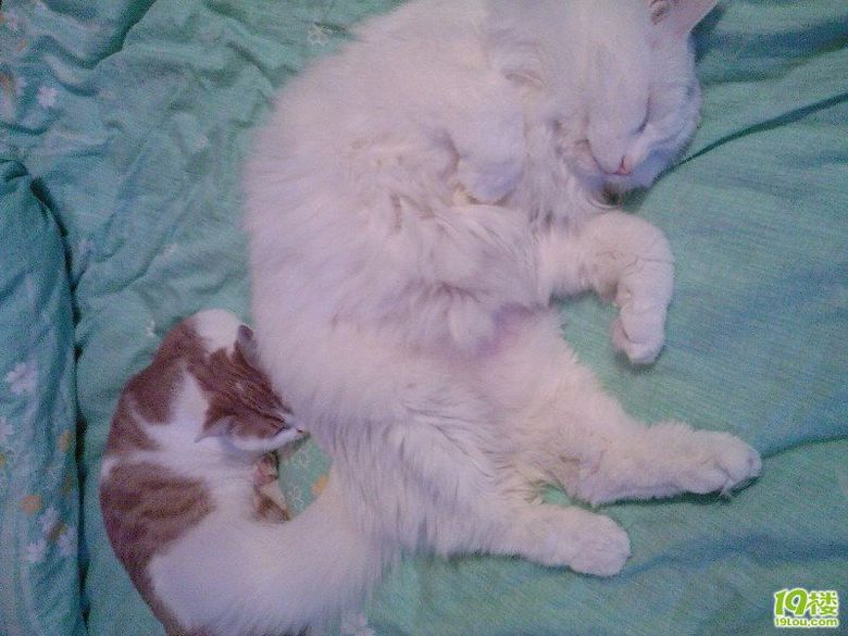 MM自摸图!未成年禁入!<em>555</em>不是黄色贴啦 为什