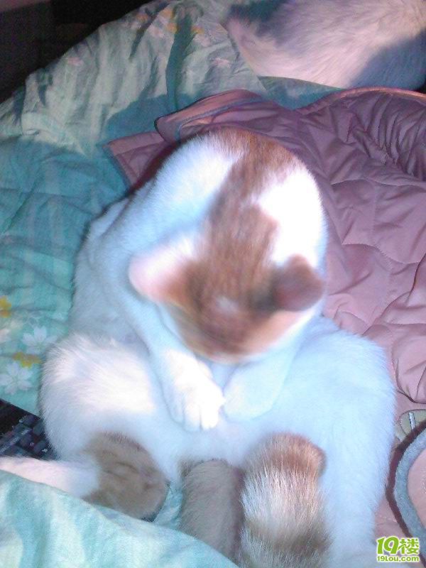 MM自摸图!未成年禁入!<em>555</em>不是黄色贴啦 为什