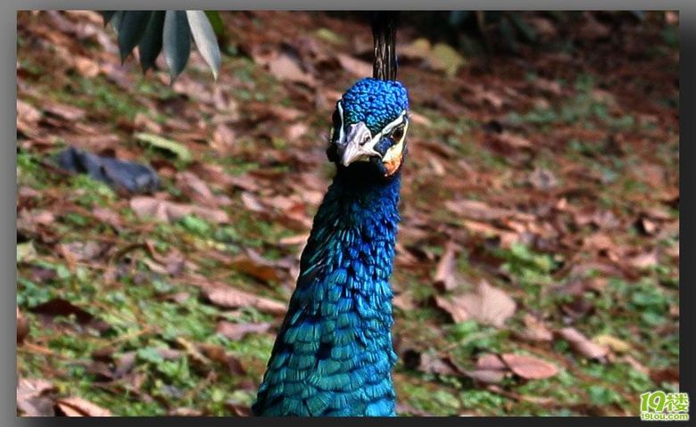 原来是你-情感沙龙-杭州19楼