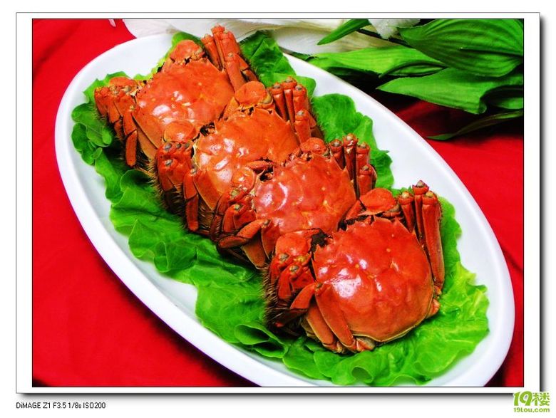 =====野蛮家常菜系列之五十九(清蒸湖蟹、蟹黄粉皮、蟹黄豆腐汤)=====-美食俱乐部-杭州19楼