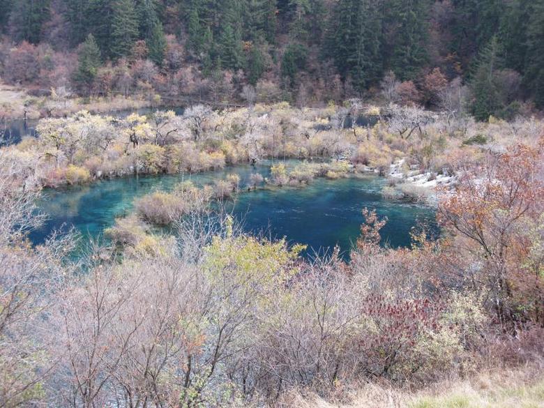 秀几张11月份去成都九寨沟的照片-19摄区-杭州