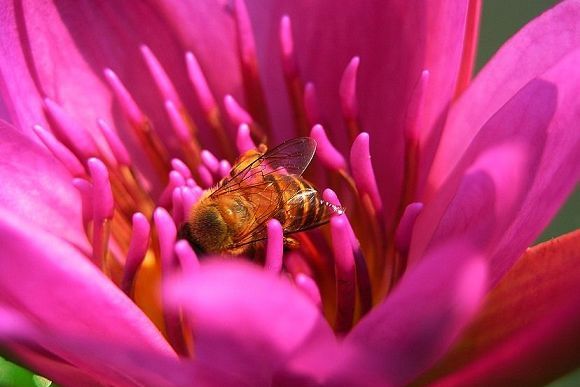 uuu-19摄区-杭州19楼