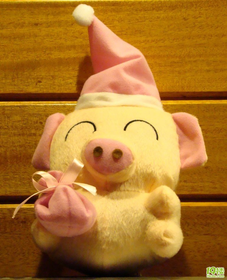 紫夜乐语---你是我心中永远的痛-音乐天堂-杭州