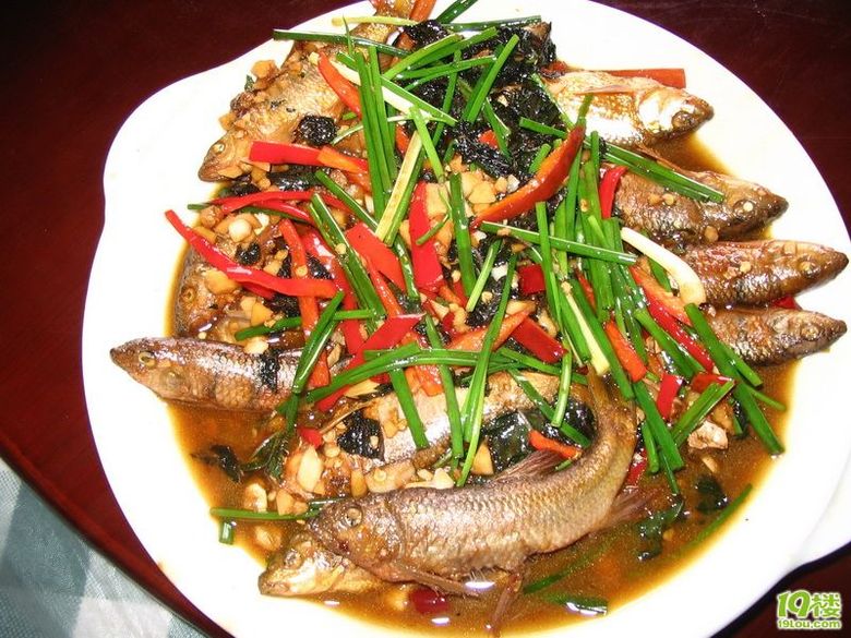 过年去江山吃野味喽!炒松鼠肉,黄麂锅仔,生炒野