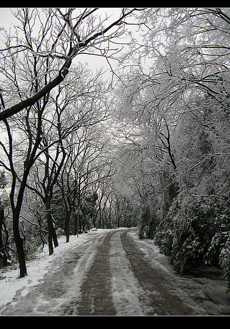 玉皇山雪景