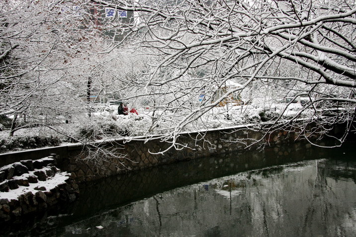 从家里到公司一路狂拍-19摄区-杭州19楼