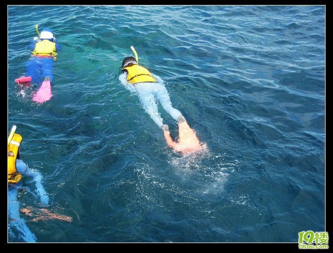 澳大利亚十日自驾游(之墨尔本、悉尼、凯恩斯