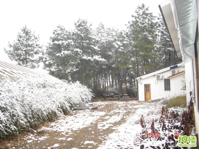 安吉竹中驿青年旅舍!-旅游商家自荐区-杭州19