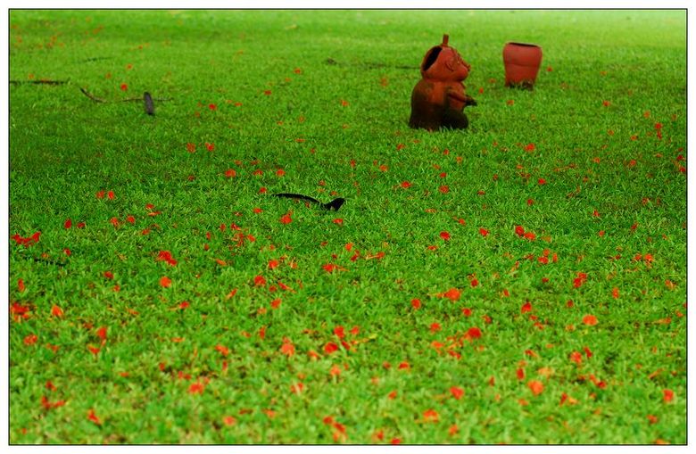 。零七八碎的色彩(乱枪散射)。续-19摄区-杭州