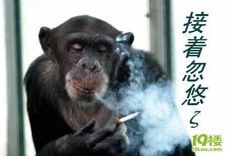 中财网传下调印花税-炒股论坛-杭州19楼