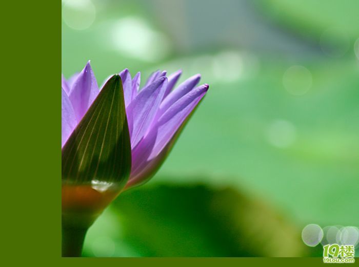 爱莲说-养眼搞笑-杭州19楼