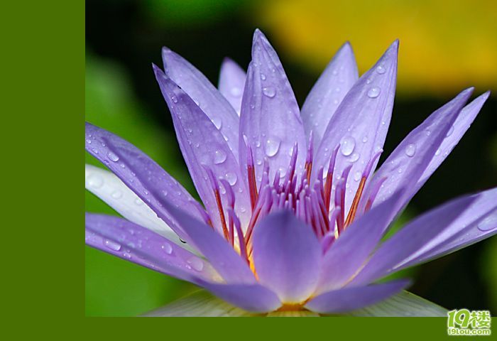 爱莲说-养眼搞笑-杭州19楼