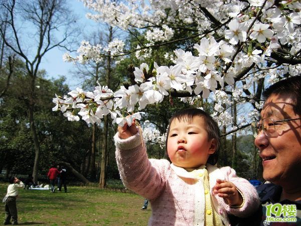 那个谁谁谁爱他儿子,我也爱会我女儿吧!(记得给
