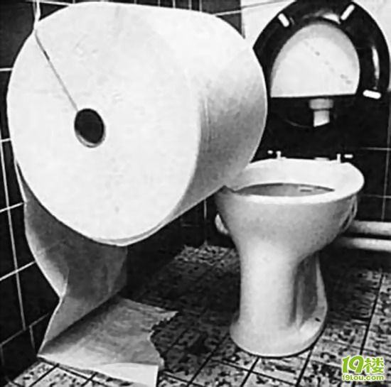 各式各样的卫生纸与新用途!-养眼搞笑-杭州19