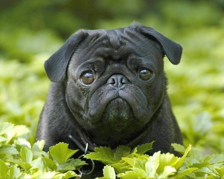 给点米吧分分也行啊-19摄区-杭州19楼