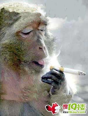 没他们帅还是戒烟吧