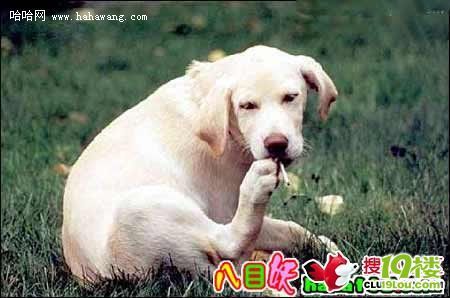 没他们帅还是戒烟吧