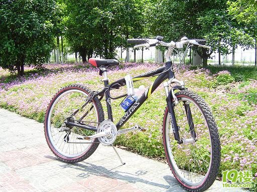 求教:女式捷安特 1000左右-单车生活-杭州19楼