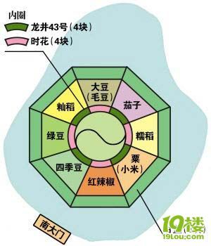 八卦田里到底种的是什么-杭州八卦田-杭州19楼