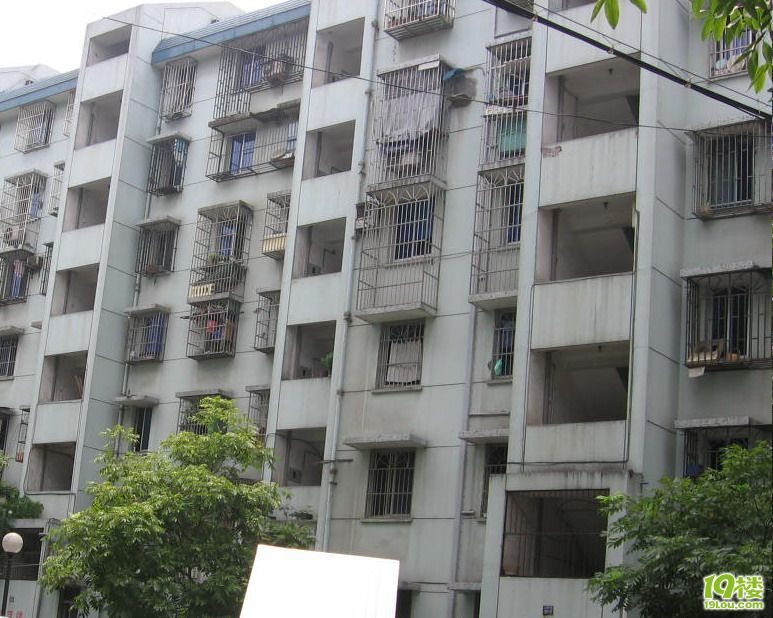 巷春蕾中学近在只尺-租房一族-杭州19楼