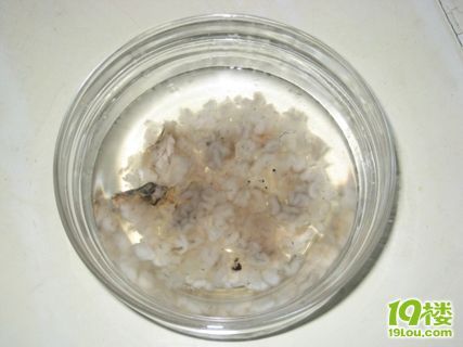 泡发雪蛤过程附图~-19楼私房菜-杭州19楼