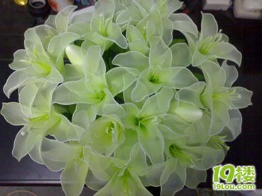 丝网花--铁包百合