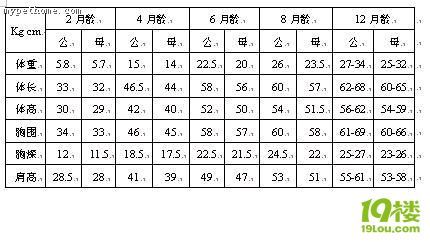 金毛各个阶段的身高体重参考标准(转)-家有宠物