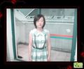 �鿴�õ�