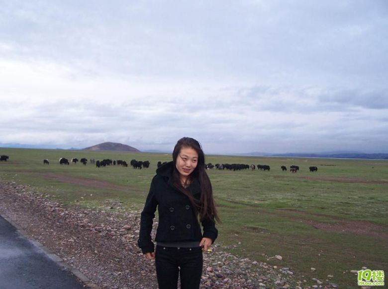 我是一只在西藏种地瓜的猪!-边走边拍-杭州19