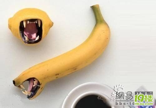 超具创意的瓜果蔬菜造型-养眼搞笑-杭州19楼